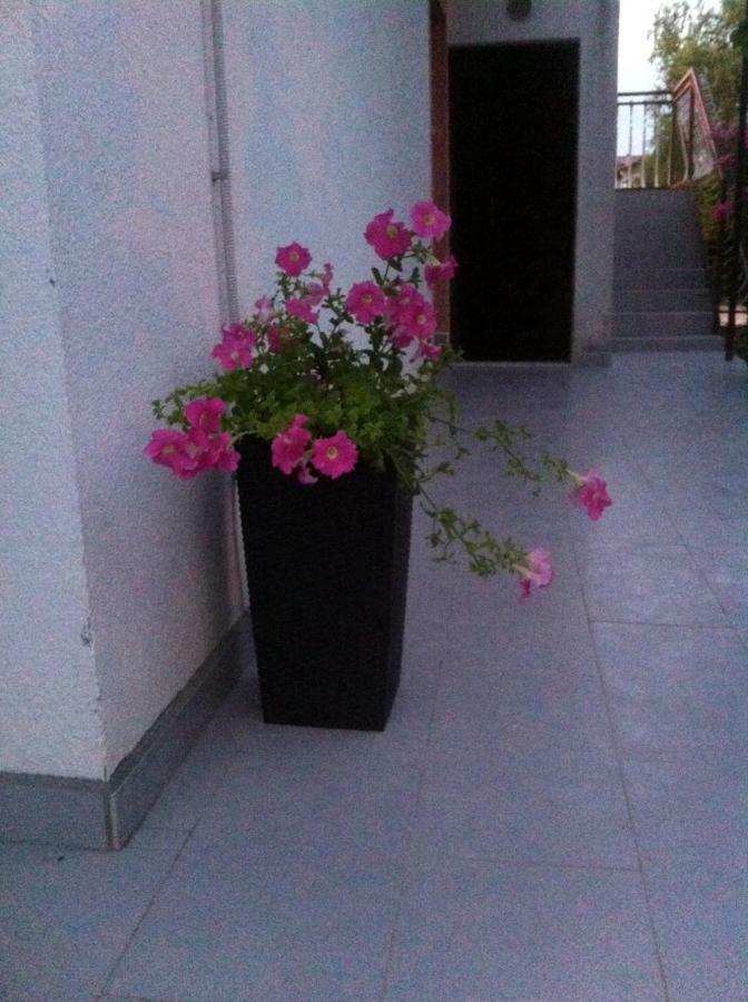 Apartmani Jadranka Vodice Bagian luar foto
